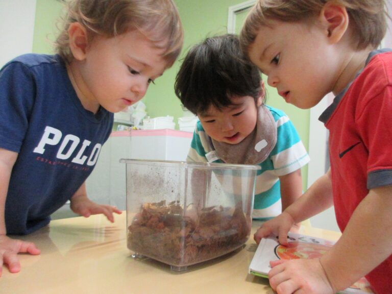 生き物から学ぶこと