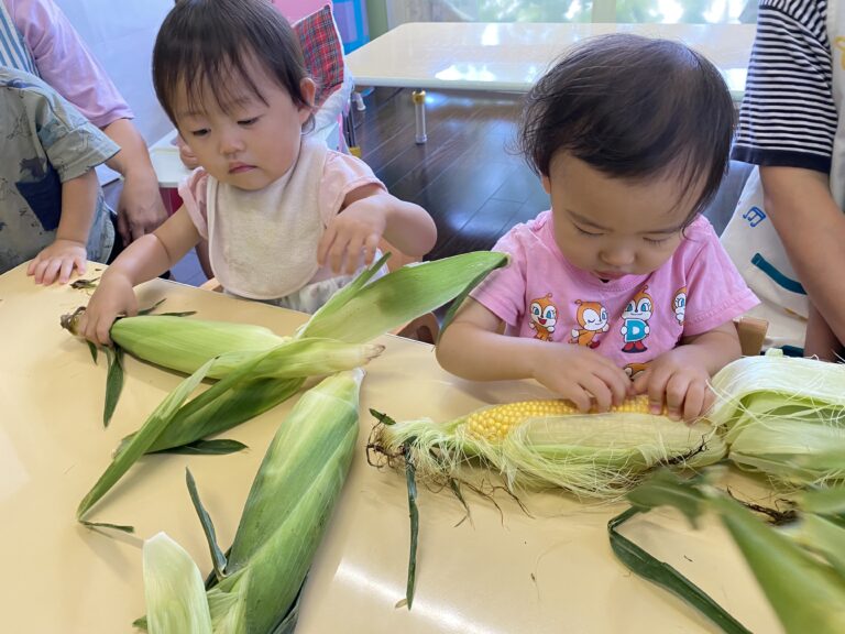 食育活動<br />
栽培・収穫体験・クッキングなど身近なところから食に関わる様々な体験をします。