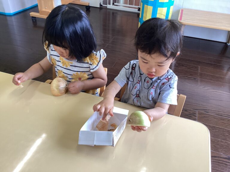 玉ねぎの皮むけるかな🧅