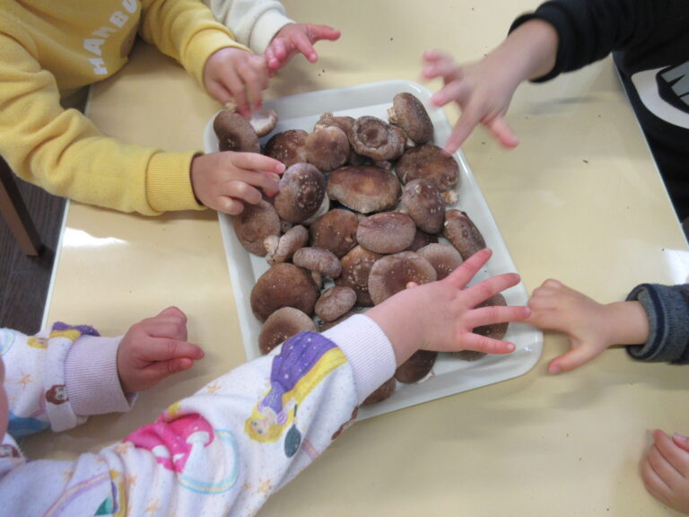 ピンクちゃん大収穫祭🍄‍🟫